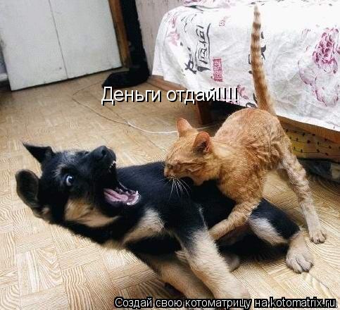Деньги отдай!!!!... Котоматрица: Деньги отдай!!!!