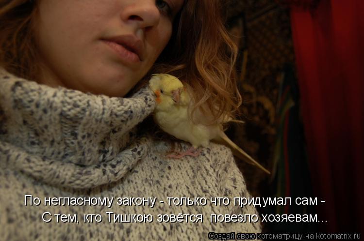 По негласному закону - только что придумал сам - С тем, кто Тишкою зовётся повезло хозяевам...... Котоматрица: По негласному закону - только что придумал сам - С тем, кто Тишкою зовётся повезло хозяевам...