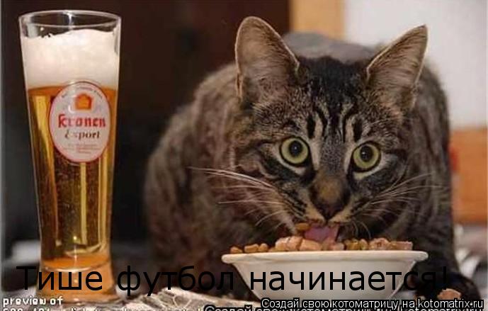 Тише футбол начинается!... Котоматрица: Тише футбол начинается!