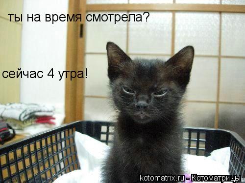 ты на время смотрела? сейчас 4 утра!... Котоматрица: ты на время смотрела? сейчас 4 утра!