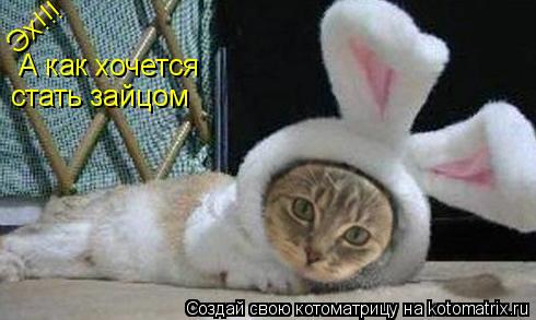 Эх!!! А как хочется стать зайцом... Котоматрица: Эх!!! А как хочется стать зайцом