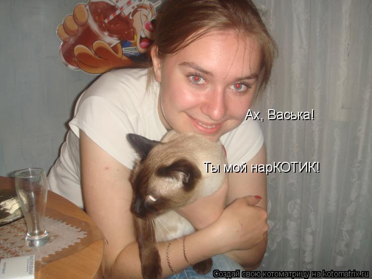 Ах, Васька! Ты мой нарКОТИК!... Котоматрица: Ах, Васька! Ты мой нарКОТИК!