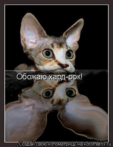 Обожаю хард-рок!... Котоматрица: Обожаю хард-рок!