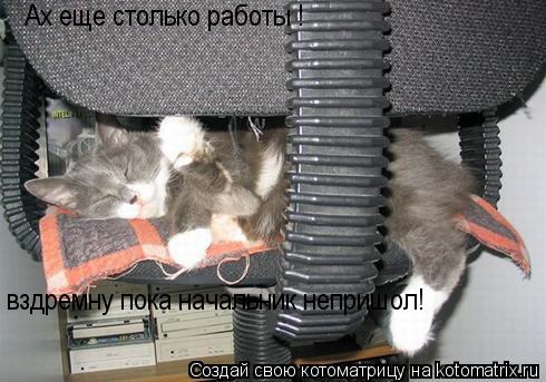 Ах еще столько работы ! вздремну пока начальник непришол!... Котоматрица: Ах еще столько работы ! вздремну пока начальник непришол!