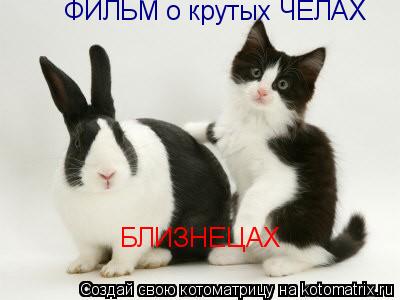 БЛИЗНЕЦАХ ФИЛЬМ о крутых ЧЕЛАХ... Котоматрица: БЛИЗНЕЦАХ ФИЛЬМ о крутых ЧЕЛАХ