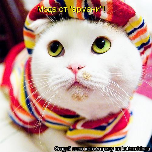 Мода от "армани"!... Котоматрица: Мода от "армани"!