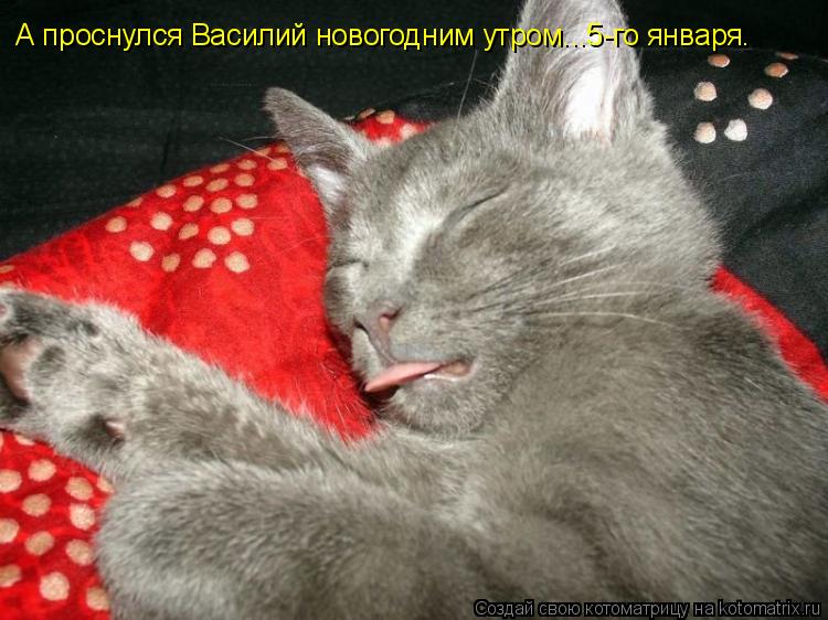 А проснулся Василий новогодним утром...5-го января.... Котоматрица: А проснулся Василий новогодним утром...5-го января.