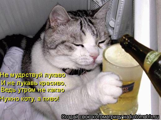 Не мудрствуй лукаво И не лукавь красиво, Ведь утром не какао Нужно коту, а пиво!... Котоматрица: Не мудрствуй лукаво И не лукавь красиво, Ведь утром не какао Нужно коту, а пиво!