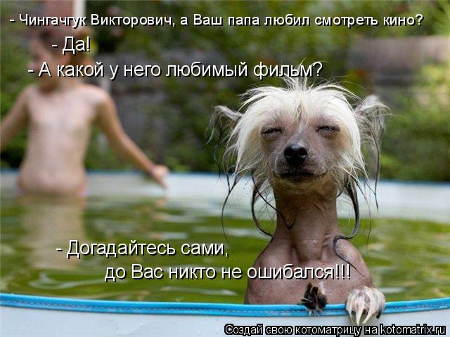 - Чингачгук Викторович, а Ваш папа любил смотреть кино? - Да! - А какой у него любимый фильм? - До... Котоматрица: - Чингачгук Викторович, а Ваш папа любил смотреть кино? - Да! - А какой у него любимый фильм? - Догадайтесь сами, до Вас никто не ошибался!!!
