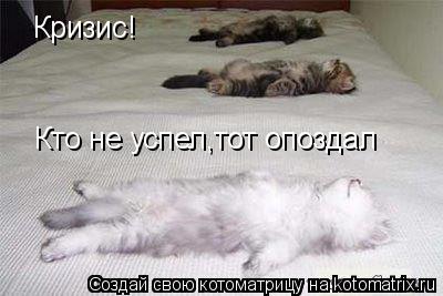 Кто не успел,тот опоздал Кризис!... Котоматрица: Кто не успел,тот опоздал Кризис!
