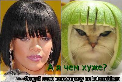 А я чем хуже?... Котоматрица: А я чем хуже?