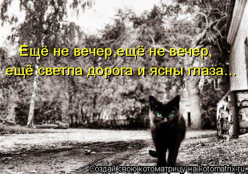 Ещё не вечер,ещё не вечер, ещё светла дорога и ясны глаза...... Котоматрица: Ещё не вечер,ещё не вечер, ещё светла дорога и ясны глаза...