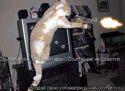 Counter-strike... На вам теры... Counter-cat не сдаются... Аааааа...... Котоматрица: Counter-strike... На вам теры... Counter-cat не сдаются... Аааааа...