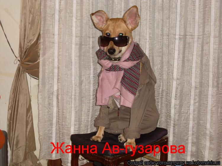 Жанна Ав-гузарова... Котоматрица: Жанна Ав-гузарова