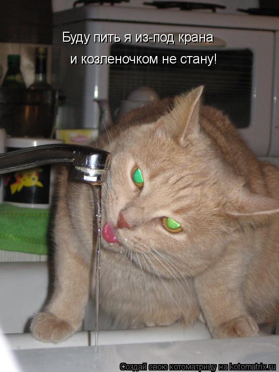 и козленочком не стану! Буду пить я из-под крана... Котоматрица: и козленочком не стану! Буду пить я из-под крана