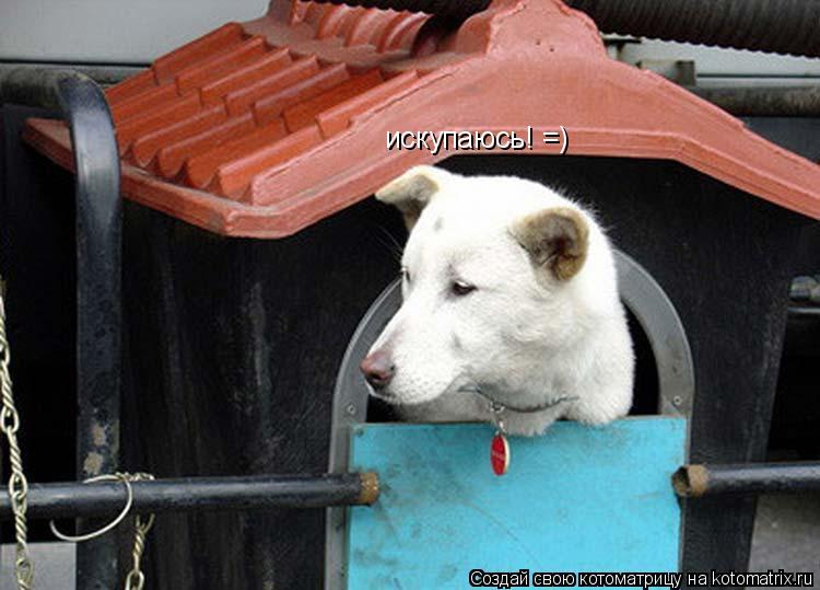 искупаюсь! =)... Котоматрица: искупаюсь! =)