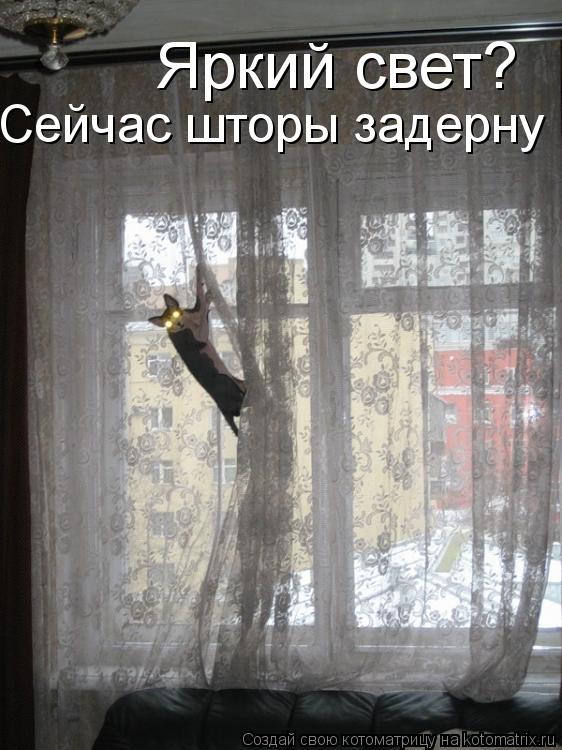 Котоматрица: Яркий свет? Сейчас шторы задерну