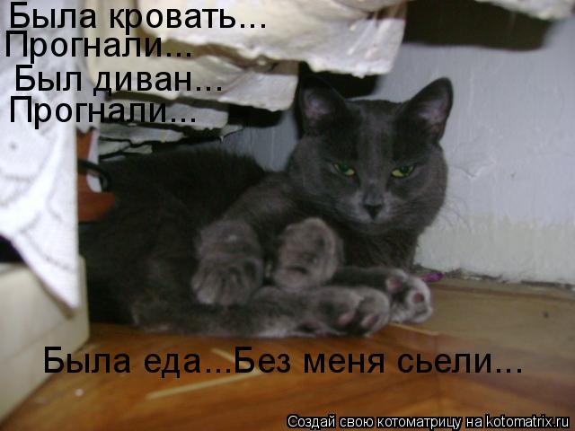 Была кровать... Прогнали... Был диван... Прогнали... Была еда...Без меня сьели...... Котоматрица: Была кровать... Прогнали... Был диван... Прогнали... Была еда...Без меня сьели...