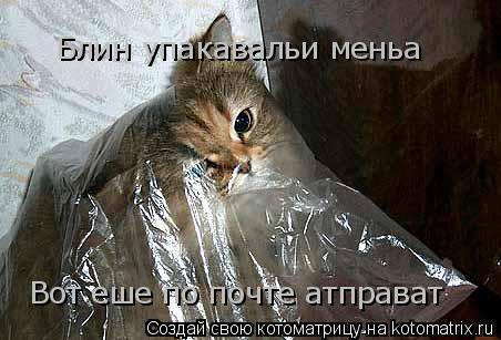 Блин упакавальи меньа Вот еше по почте атправат... Котоматрица: Блин упакавальи меньа Вот еше по почте атправат