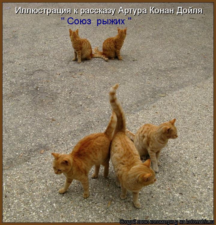 Иллюстрация к рассказу Артура Конан Дойля " Союз рыжих "... Котоматрица: Иллюстрация к рассказу Артура Конан Дойля " Союз рыжих "