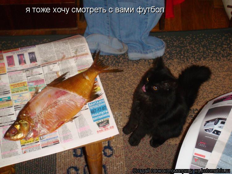 я тоже хочу смотреть с вами футбол... Котоматрица: я тоже хочу смотреть с вами футбол