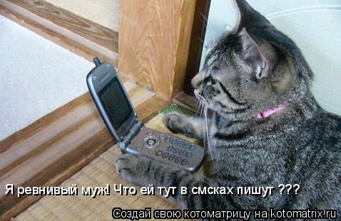 Я ревнивый муж! Что ей тут в смсках пишут ???... Котоматрица: Я ревнивый муж! Что ей тут в смсках пишут ???