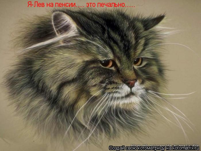 Я-Лев на пенсии..... это печально......... Котоматрица: Я-Лев на пенсии..... это печально......