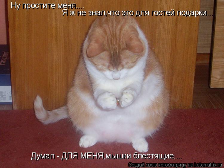 Ну простите меня.... Думал - ДЛЯ МЕНЯ,мышки блестящие.... Я ж не знал,что это для гостей подарки....... Котоматрица: Ну простите меня.... Думал - ДЛЯ МЕНЯ,мышки блестящие.... Я ж не знал,что это для гостей подарки....