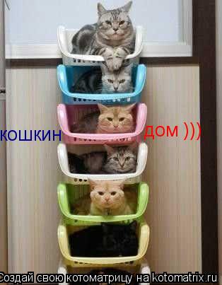 кошкин дом )))... Котоматрица: кошкин дом )))