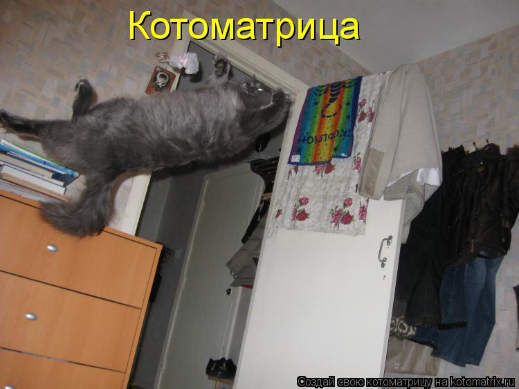 Котоматрица: Котоматрица
