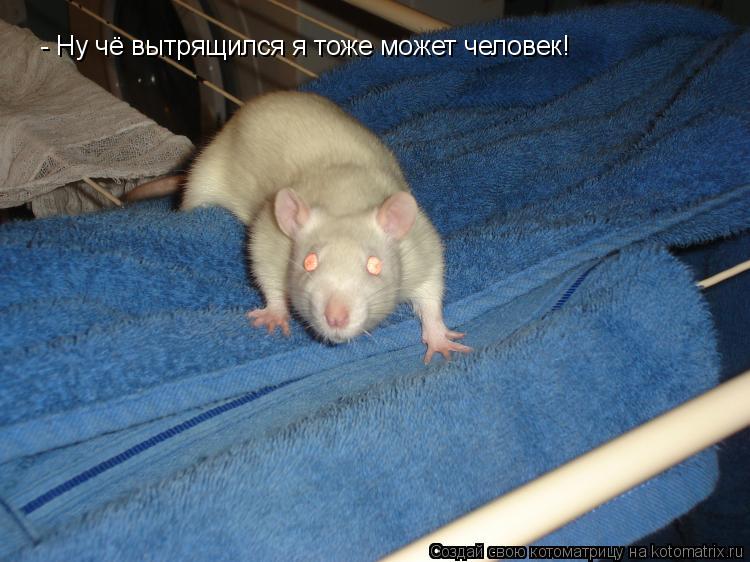 - Ну чё вытрящился я тоже может человек!... Котоматрица: - Ну чё вытрящился я тоже может человек!