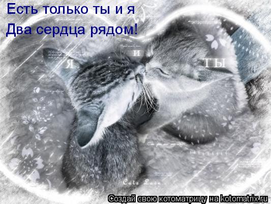 Есть только ты и я Два сердца рядом!... Котоматрица: Есть только ты и я Два сердца рядом!
