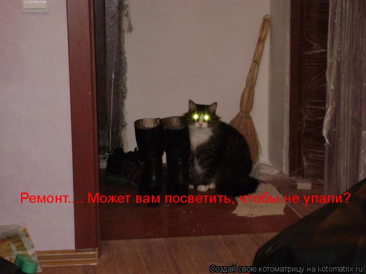 Ремонт.... Может вам посветить, чтобы не упали?... Котоматрица: Ремонт.... Может вам посветить, чтобы не упали?