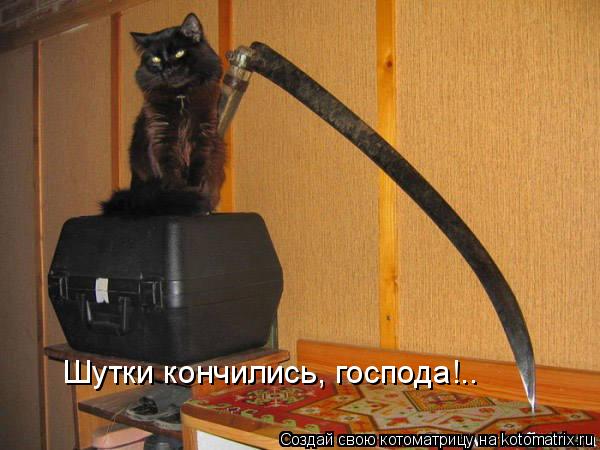 Шутки кончились, господа!..... Котоматрица: Шутки кончились, господа!..