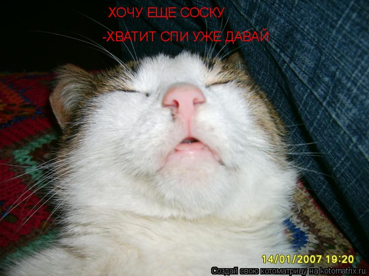 ХОЧУ ЕЩЕ СОСКУ -ХВАТИТ СПИ УЖЕ ДАВАЙ... Котоматрица: ХОЧУ ЕЩЕ СОСКУ -ХВАТИТ СПИ УЖЕ ДАВАЙ