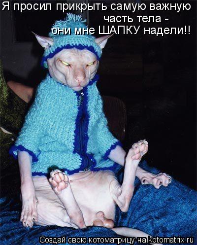 Я просил прикрыть самую важную часть тела - они мне ШАПКУ надели!!... Котоматрица: Я просил прикрыть самую важную часть тела - они мне ШАПКУ надели!!