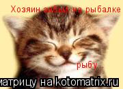 Хозяин забыл на рыбалке рыбу...... Котоматрица: Хозяин забыл на рыбалке рыбу...