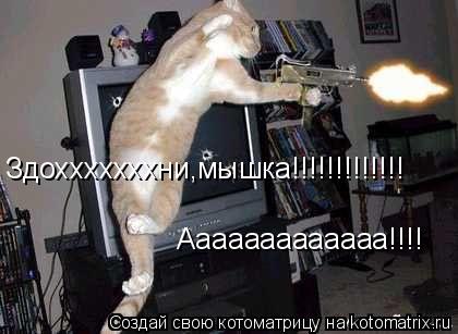 Котоматрица: Здохххххххни,мышка!!!!!!!!!!!!! Ааааааааааааа!!!!