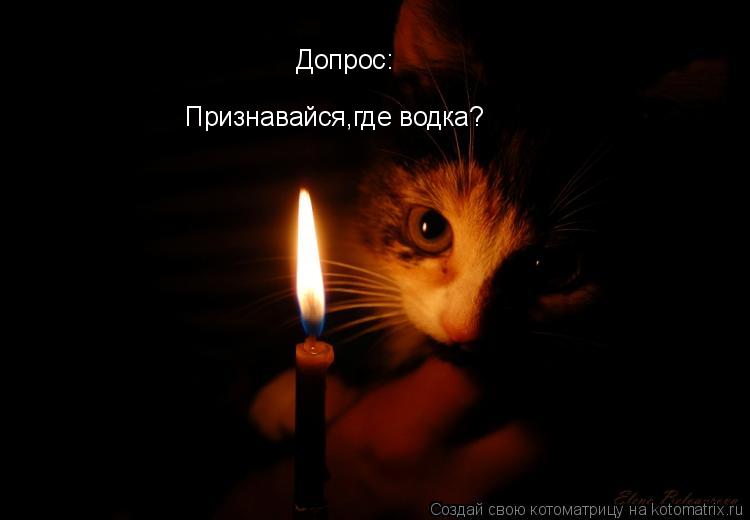 Допрос: Признавайся,где водка?... Котоматрица: Допрос: Признавайся,где водка?