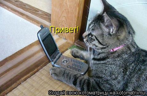 Привет!... Котоматрица: Привет!