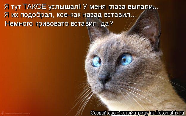 Я тут ТАКОЕ услышал! У меня глаза выпали... Я их подобрал, кое-как назад вставил... Немного кривовато... Котоматрица: Я тут ТАКОЕ услышал! У меня глаза выпали... Я их подобрал, кое-как назад вставил... Немного кривовато вставил, да?