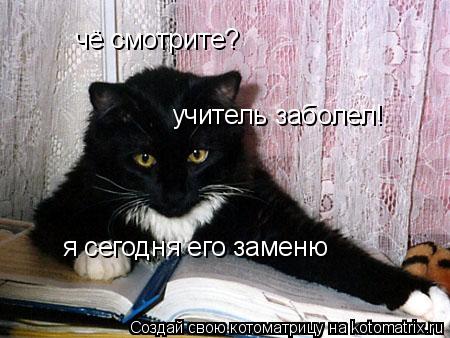 чё смотрите? учитель заболел! я сегодня его заменю... Котоматрица: чё смотрите? учитель заболел! я сегодня его заменю