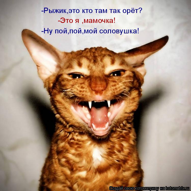 -Рыжик,это кто там так орёт? -Это я ,мамочка! -Ну пой,пой,мой соловушка!... Котоматрица: -Рыжик,это кто там так орёт? -Это я ,мамочка! -Ну пой,пой,мой соловушка!