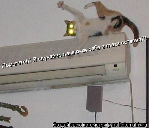 Помогите!!! Я случайно лампочки себе в глаза вставил!!!... Котоматрица: Помогите!!! Я случайно лампочки себе в глаза вставил!!!