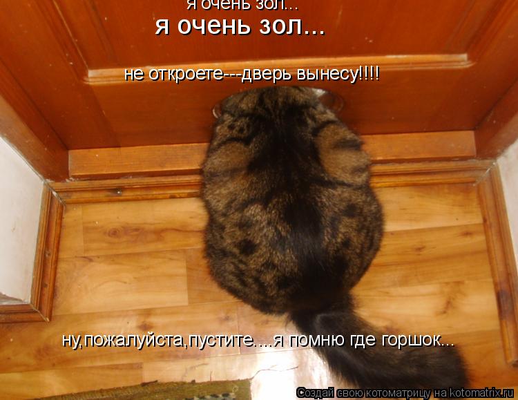 не откроете---дверь вынесу!!!! не откроете---дверь вынесу!!!! я очень зол... я очень зол... ну,пожалу... Котоматрица: не откроете---дверь вынесу!!!! не откроете---дверь вынесу!!!! я очень зол... я очень зол... ну,пожалуйста,пустите....я помню где горшок...
