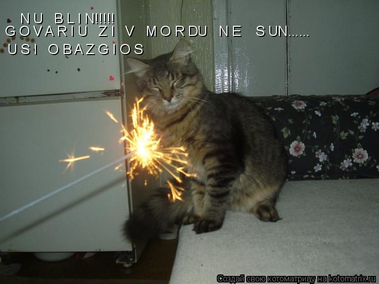 N U B L I N!!!!! G O V A R I U Z I V M O R DU N E S UN...... U S I O B A Z G I O S... Котоматрица: N U B L I N!!!!! G O V A R I U Z I V M O R DU N E S UN...... U S I O B A Z G I O S