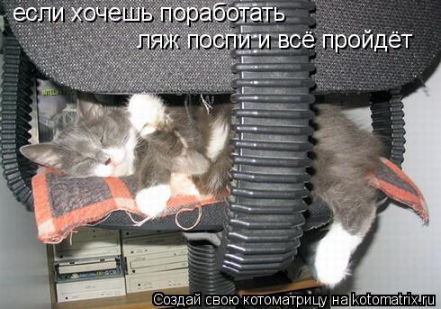 если хочешь поработать ляж поспи и всё пройдёт... Котоматрица: если хочешь поработать ляж поспи и всё пройдёт