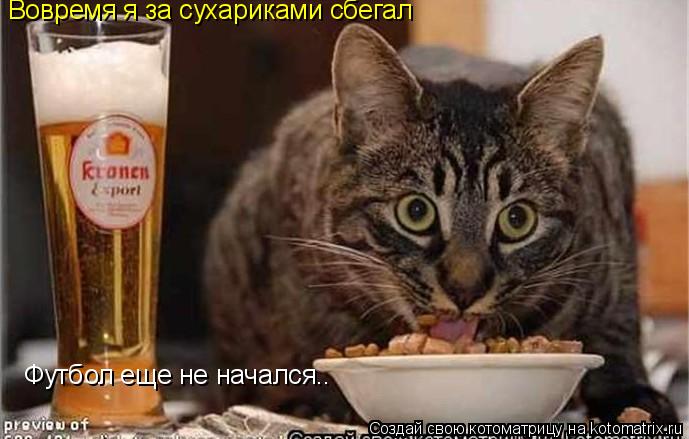 Вовремя я за сухариками сбегал Футбол еще не начался..... Котоматрица: Вовремя я за сухариками сбегал Футбол еще не начался..