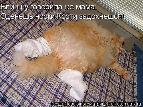 Блин ну говорила же мама: Оденешь носки Кости задохнёшся!... Котоматрица: Блин ну говорила же мама: Оденешь носки Кости задохнёшся!