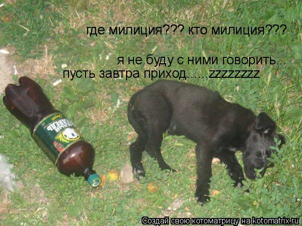 где милиция??? кто милиция??? где милиция??? кто милиция??? я не буду с ними говорить... пусть завтра... Котоматрица: где милиция??? кто милиция??? где милиция??? кто милиция??? я не буду с ними говорить... пусть завтра приход......zzzzzzzz